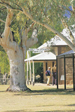 Alice Springs Cultural Precinctt