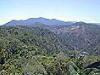 Kuranda Scenic Skyway view of the rainforest