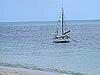 sailboat off Green Island